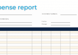 expense preview